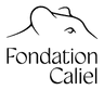 Fondation Caliel